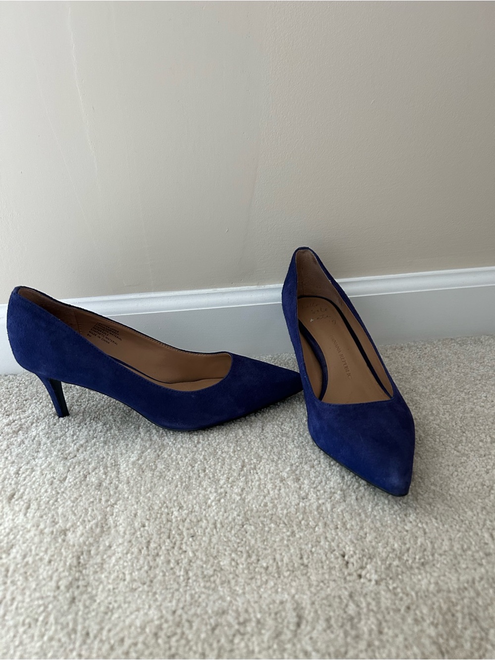 Banana Republic Deep Blue Suede Pointed-Toe Pumps